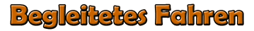 Begleitetes Fahren